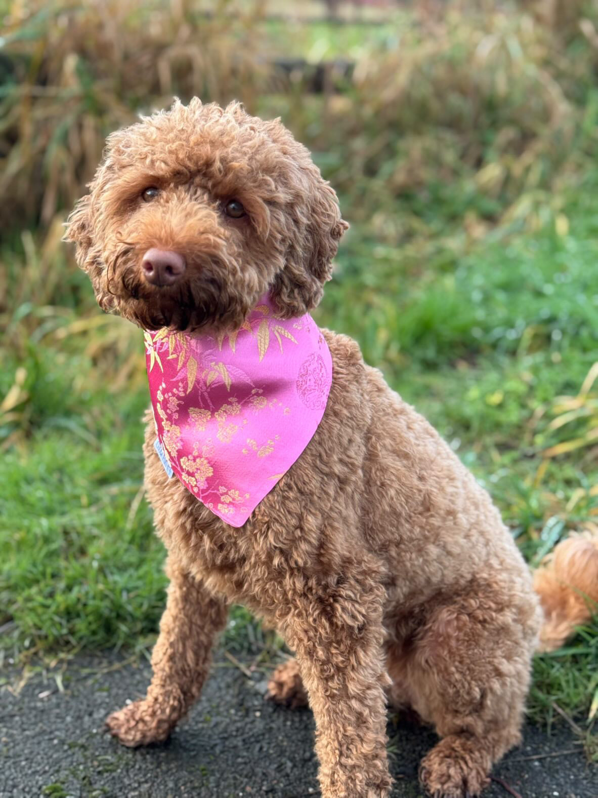 *EXCLUSIVE* LANG x Bommee Silk Pet Bandana