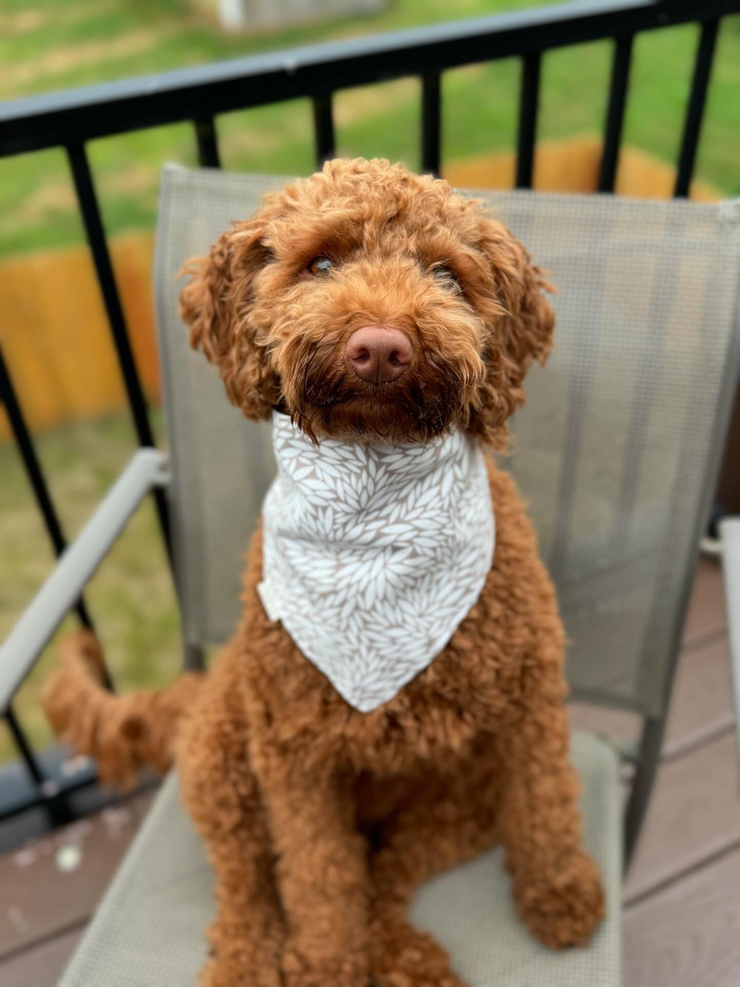 Lofty Leaves Bandana