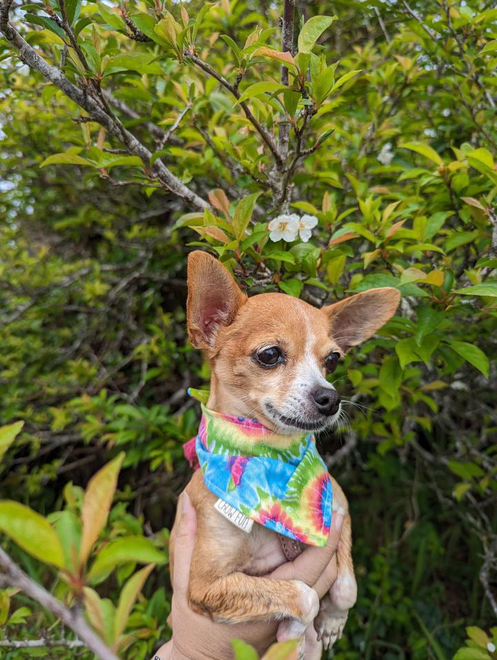 Wild Child Hippie Bandana