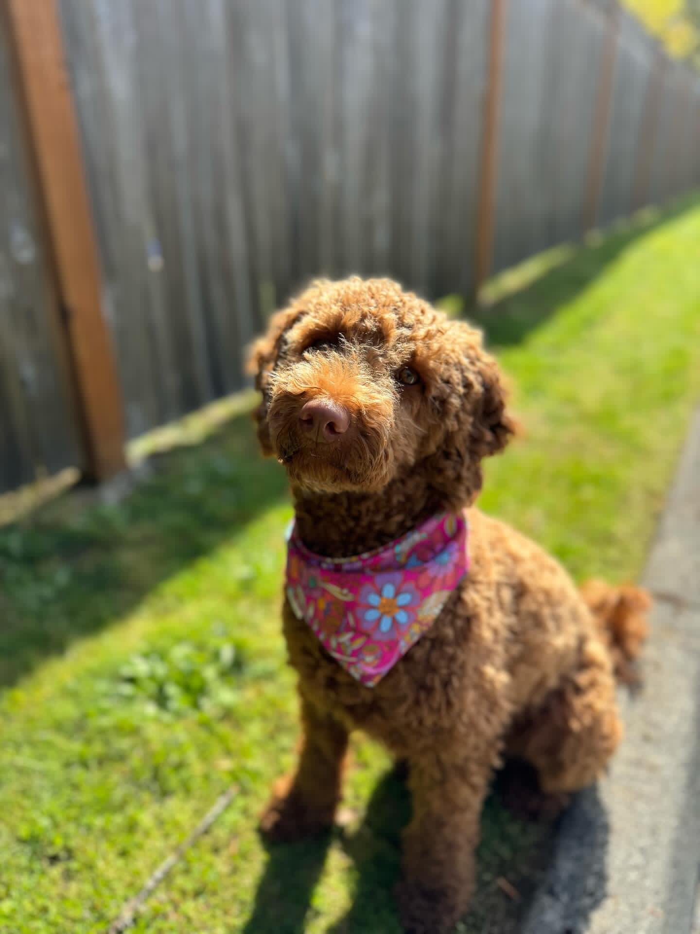 Flower Power Bandana (Limited)