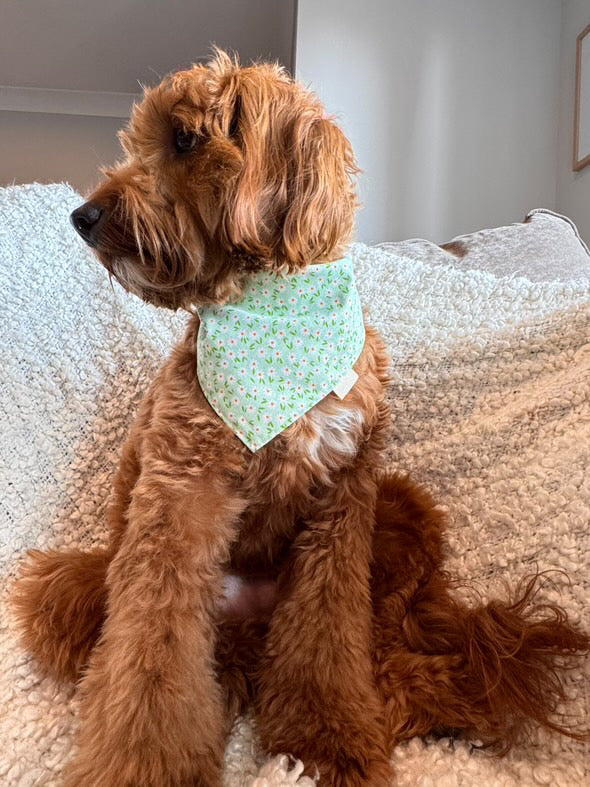 ✨Reversible✨ Petal Party Bandana