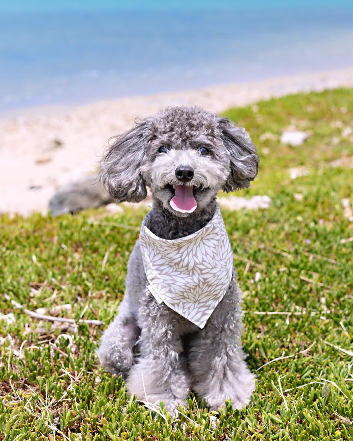 Lofty Leaves Bandana