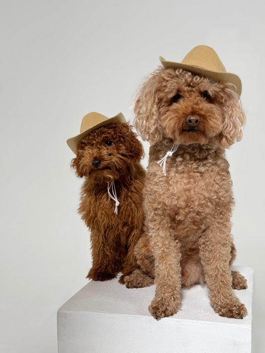Cowboy Hats