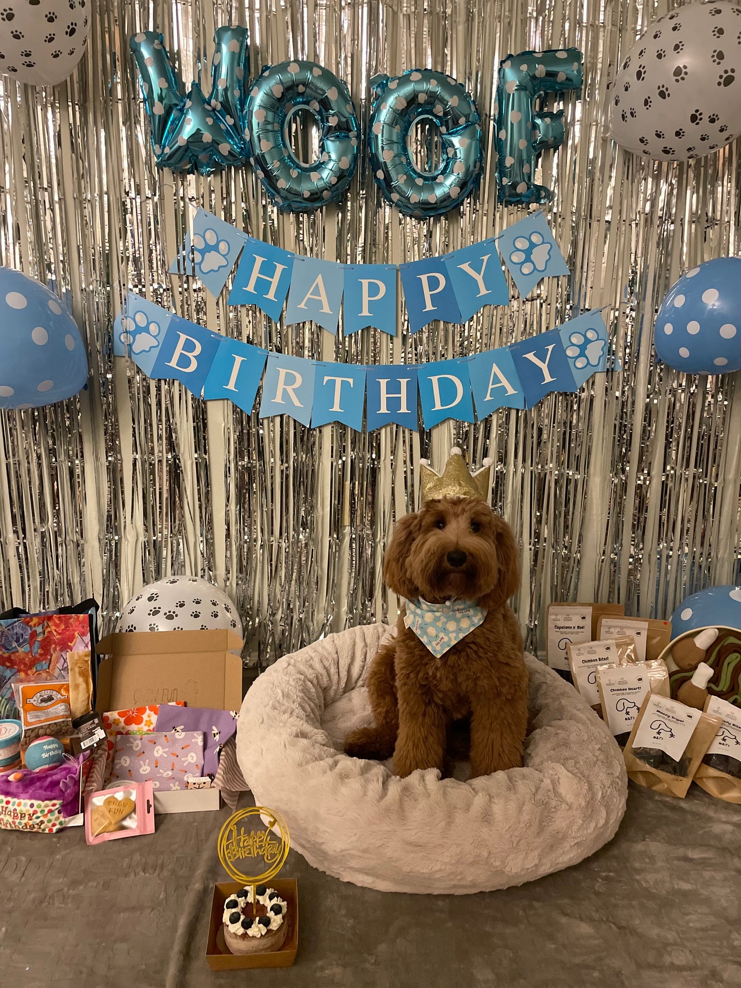 Barkday (Birthday) Bandana
