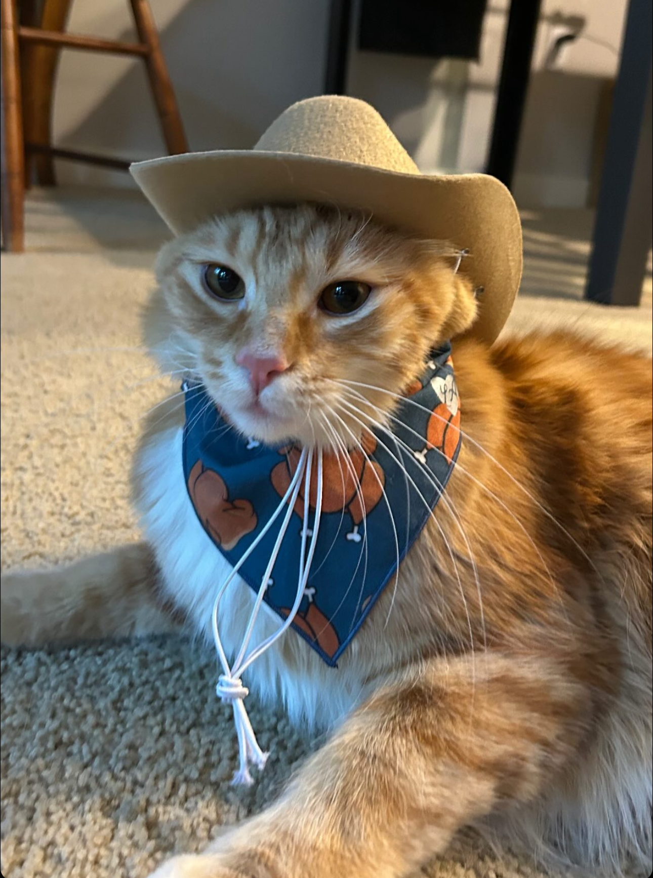 Cowboy Hats