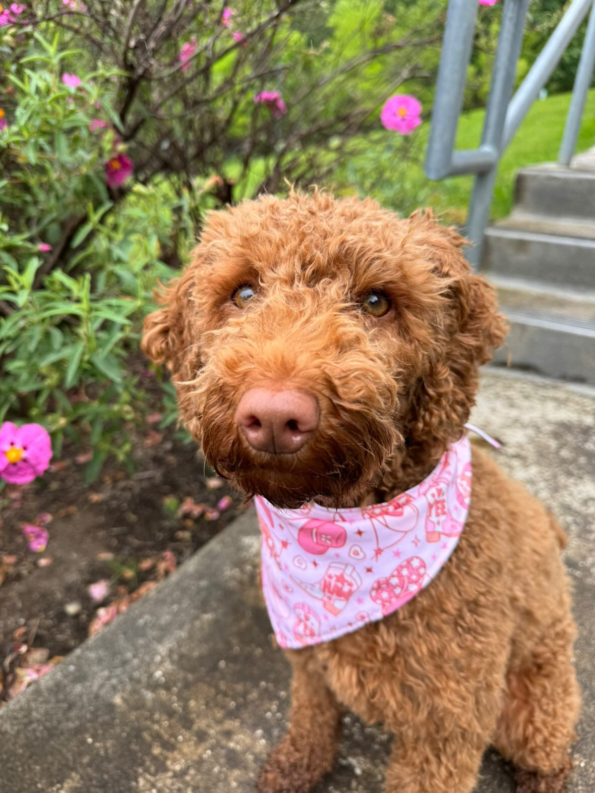 Yeehaw, Cowgirl! Bandana (Limited)