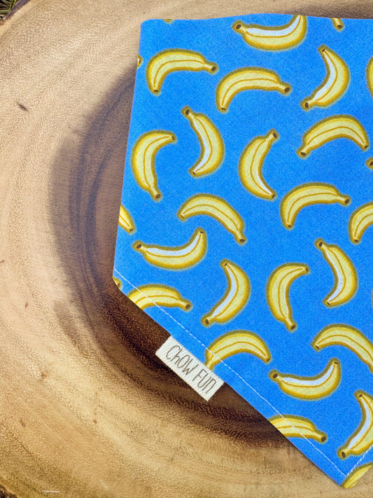 Bananarama Bandana 🍌