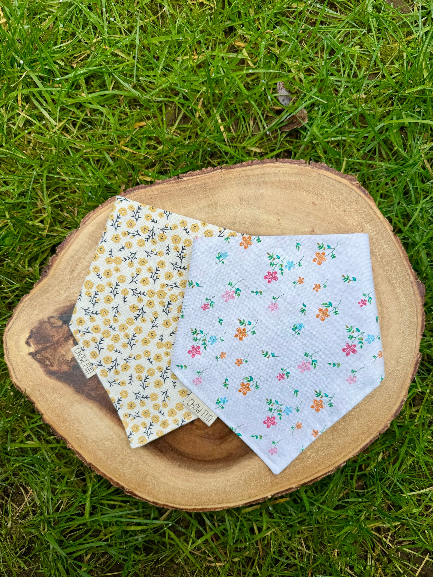 Springin' into Spring! Bandana (Limited)