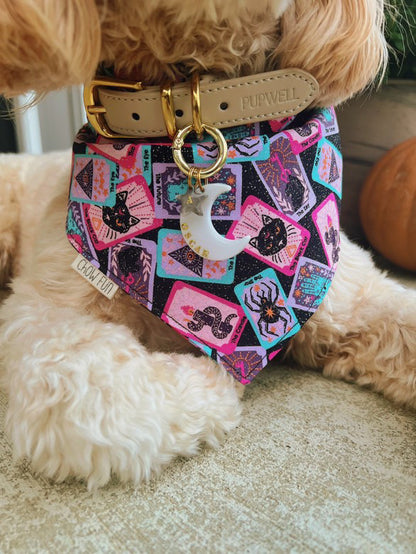 The Mystic Paw Sparkly Bandana