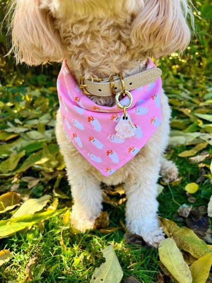 Country Casper Bandana