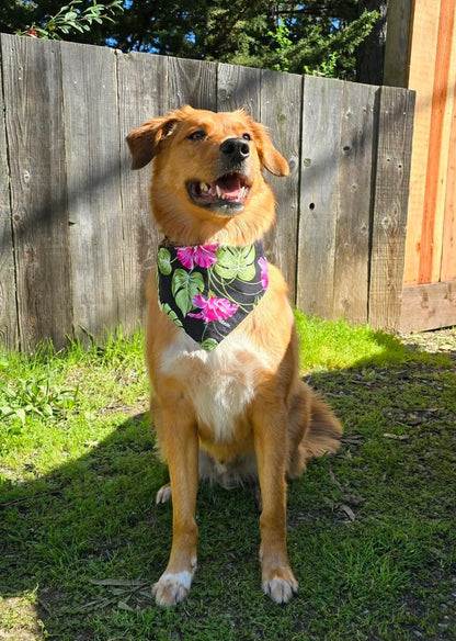 ʻEleʻEle (Black) Hibiscus Bandana