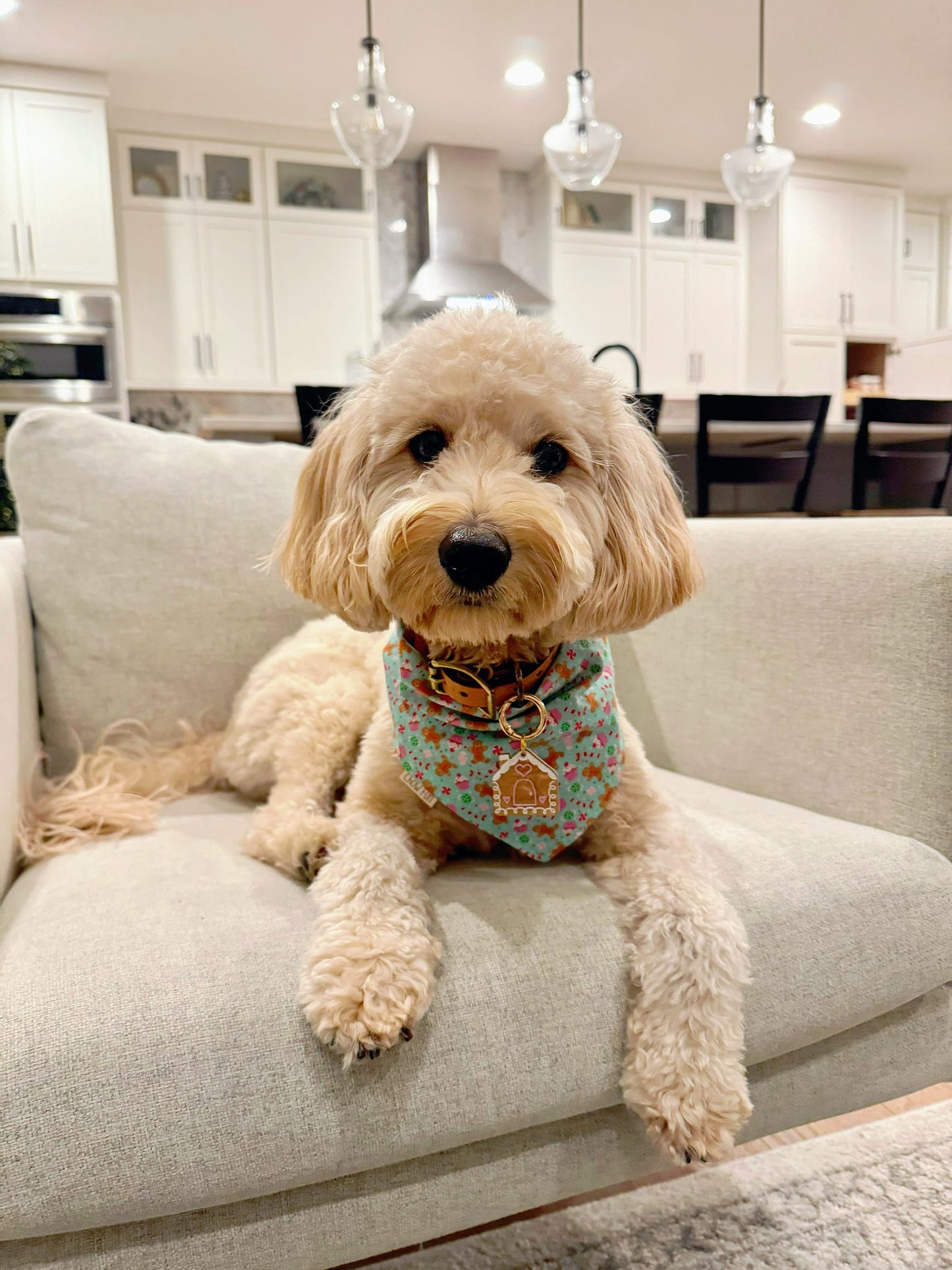 Gingerbread Bandana