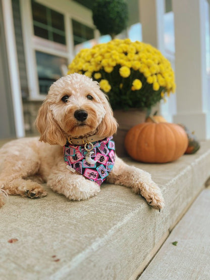 The Mystic Paw Sparkly Bandana