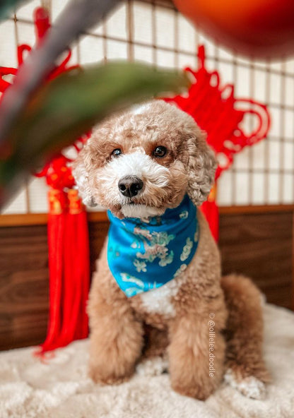 Teal Dragon Bandana