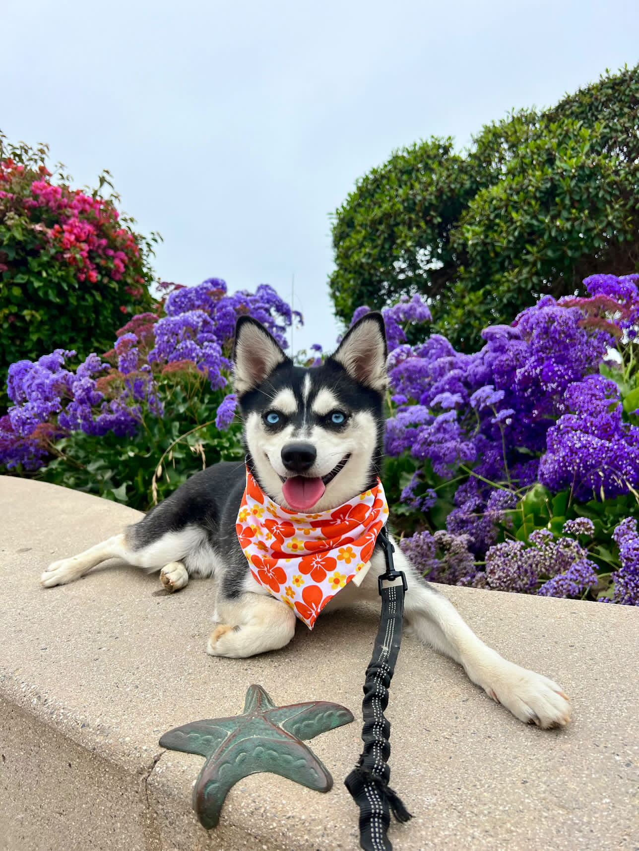 It's Pau Hana Time! Bandana