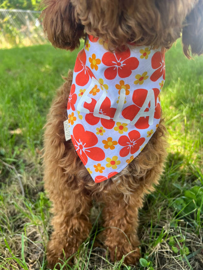 It's Pau Hana Time! Bandana