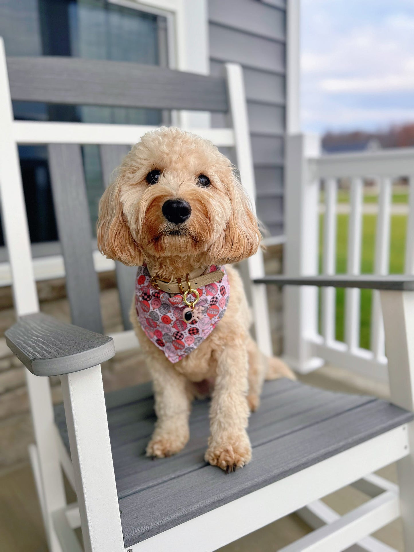 Girly Pop Christmas Bandana