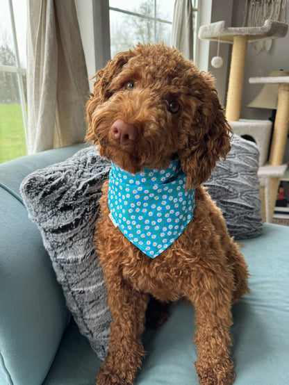 Daisy Delight Bandana