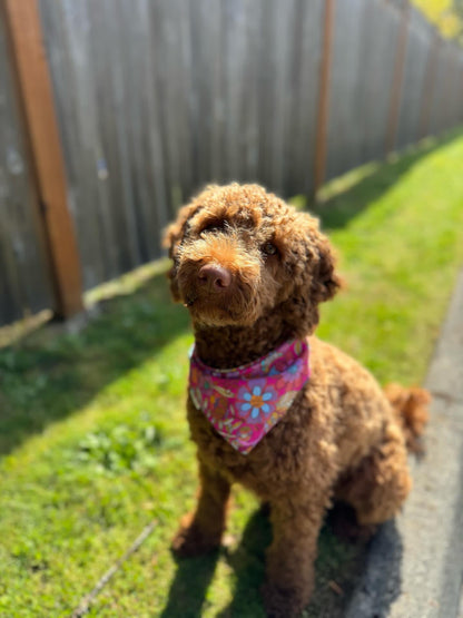 Flower Power Bandana (Limited)