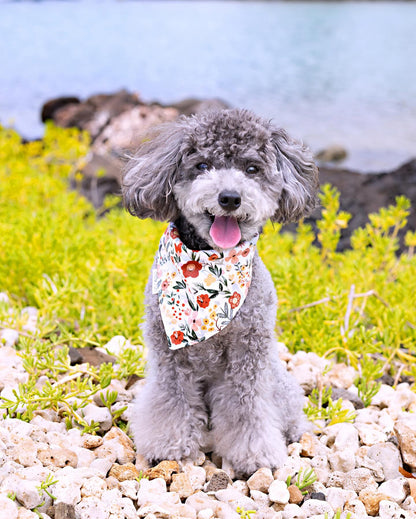 Boho Bouquets Bandana