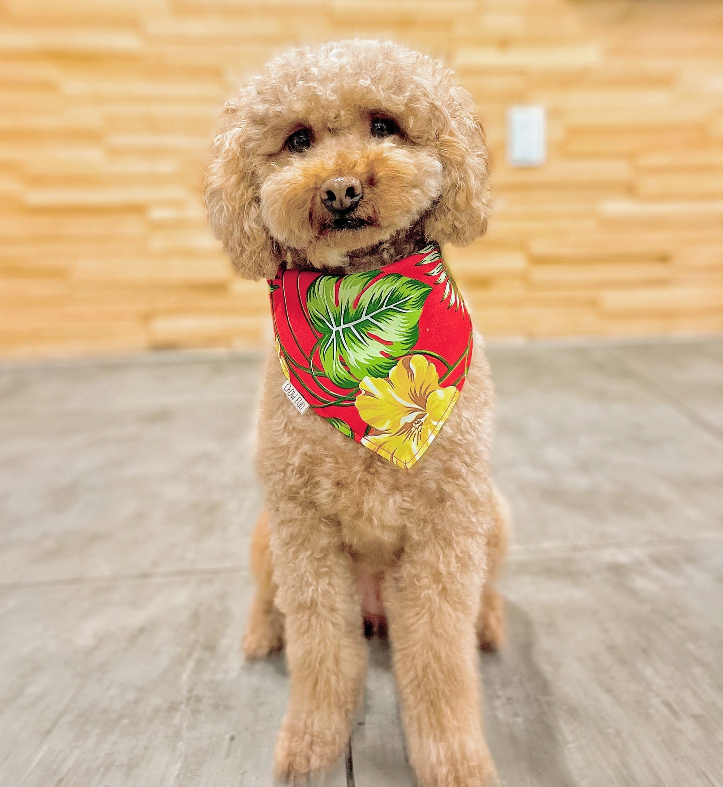 ʻUlaʻUla (Red) Hibiscus Bandana