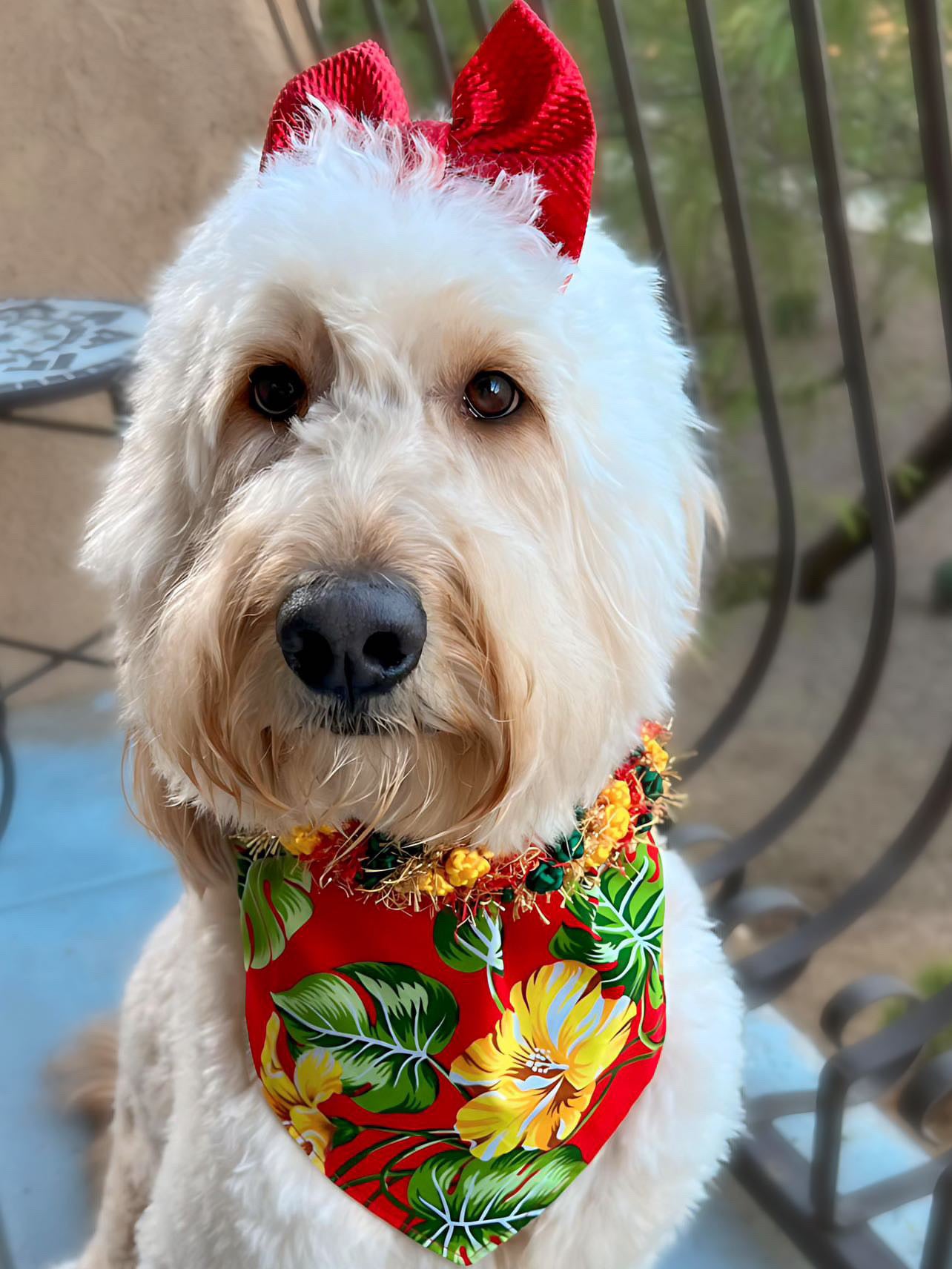 ʻUlaʻUla (Red) Hibiscus Bandana