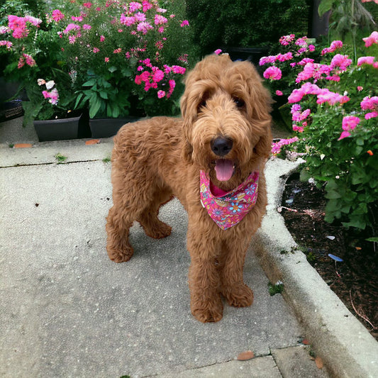 Flower Power Bandana (Limited)