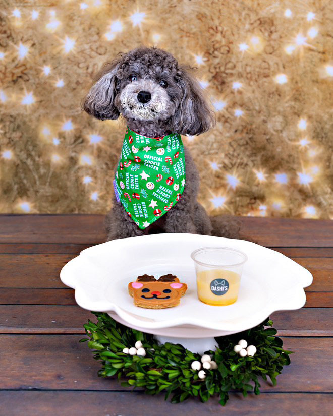 Reversible Official Cookie Taster Bandana