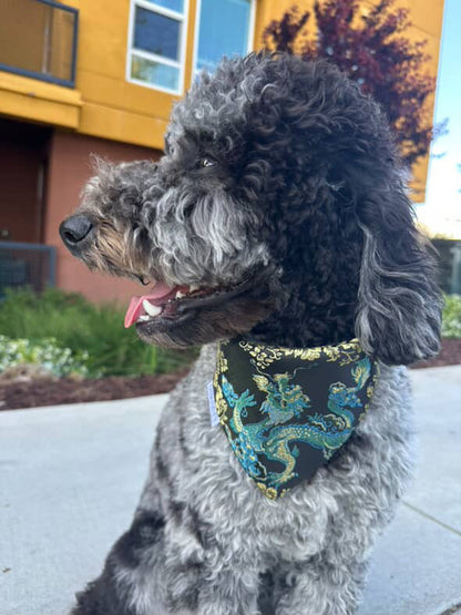 Black Dragon Bandana
