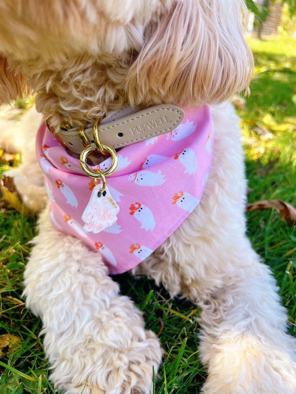 Country Casper Bandana