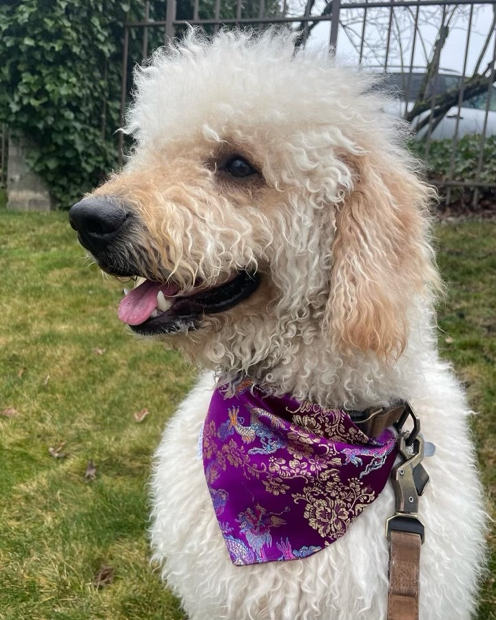 ✨NEW✨ Royal Purple Dragon Bandana