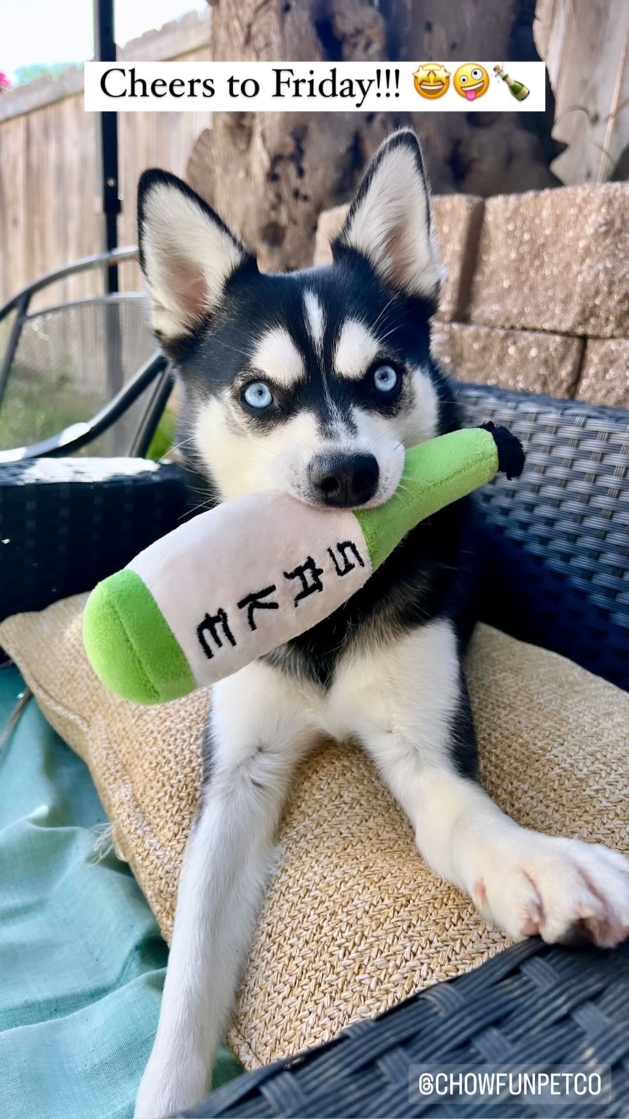 Sake Bottle Squeeky-Toy