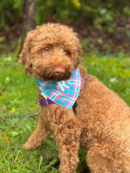 Warm & Fuzzy Valentine (Flannel) Bandana