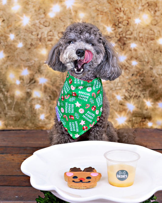 Reversible Official Cookie Taster Bandana