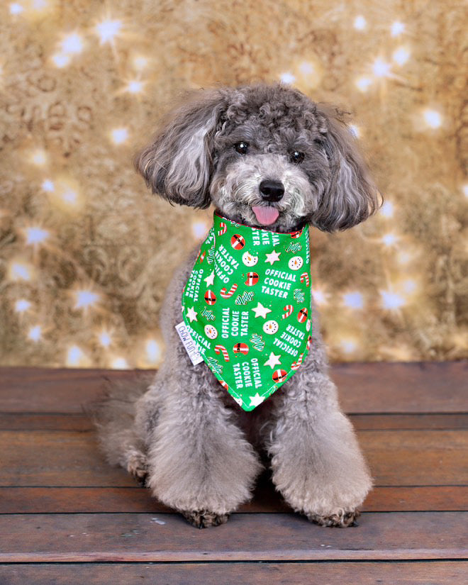 Reversible Official Cookie Taster Bandana