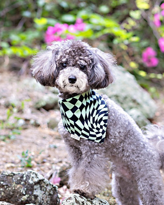 Spooky Swirls Bandana