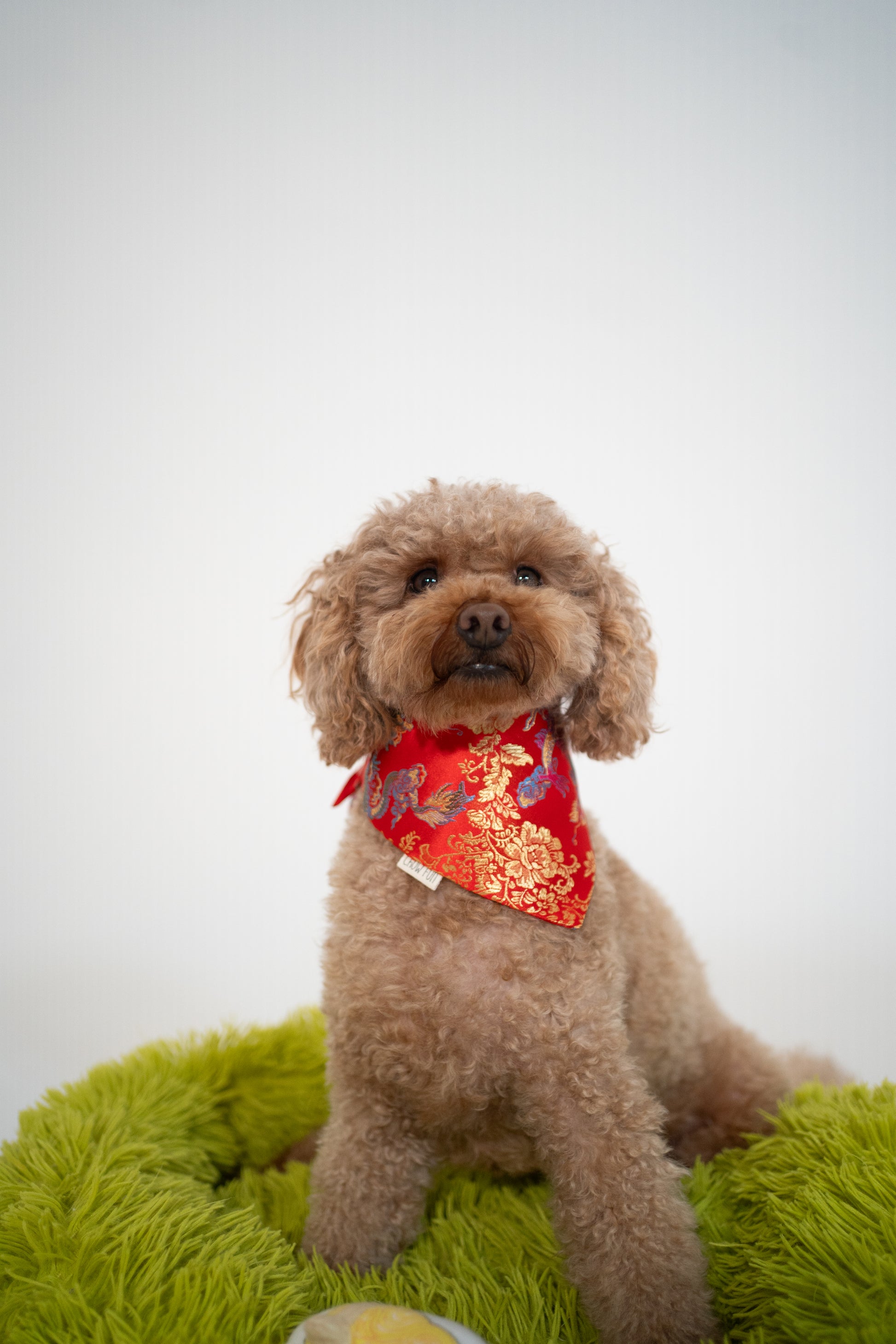 Limited Edition Red Dragon Bandana – Chow Fun - Main Image