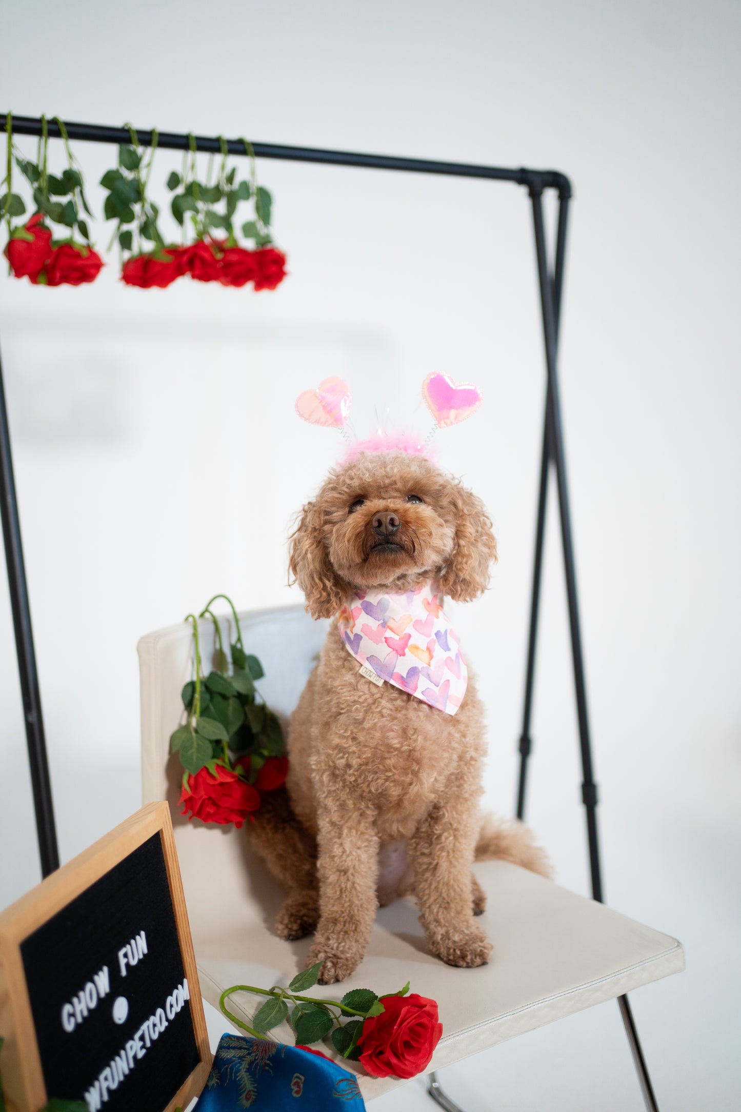 Pretty in Pink Bandana