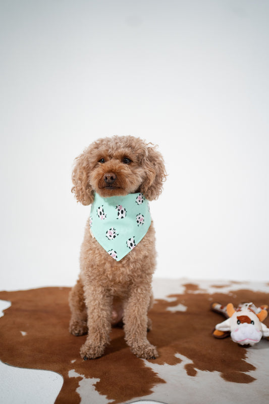 Cow-abunga Cuteness Bandana