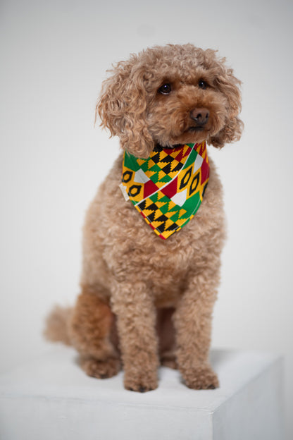 Tropical Rhythm Kente Bandana