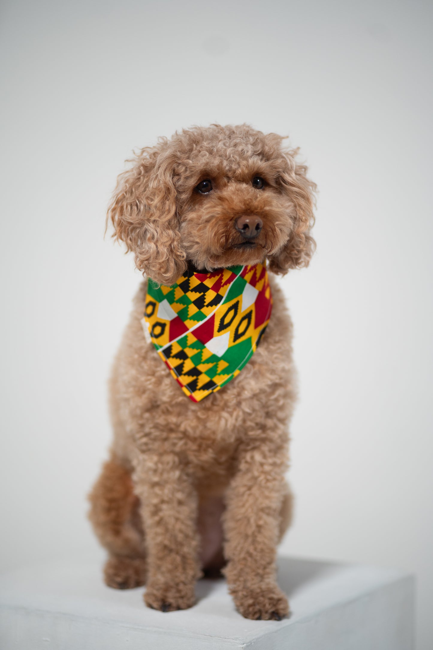 Tropical Rhythm Kente Bandana