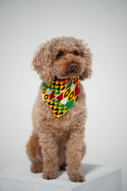 Tropical Rhythm Kente Bandana