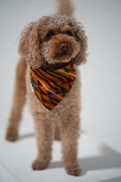 Harvest Sun Kente Bandana