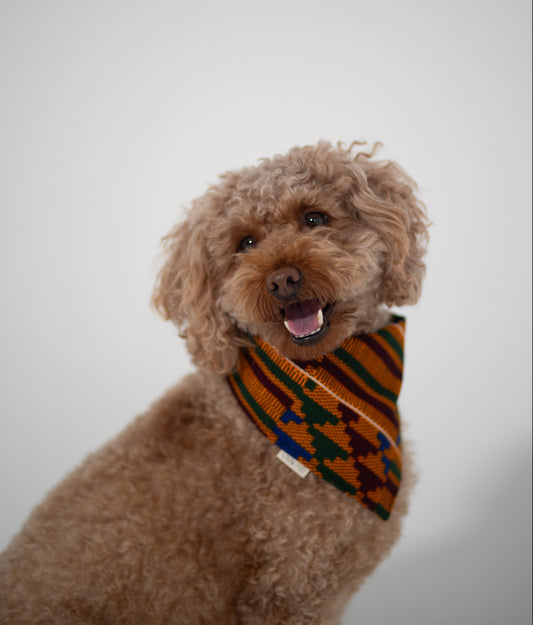 Harvest Sun Kente Bandana