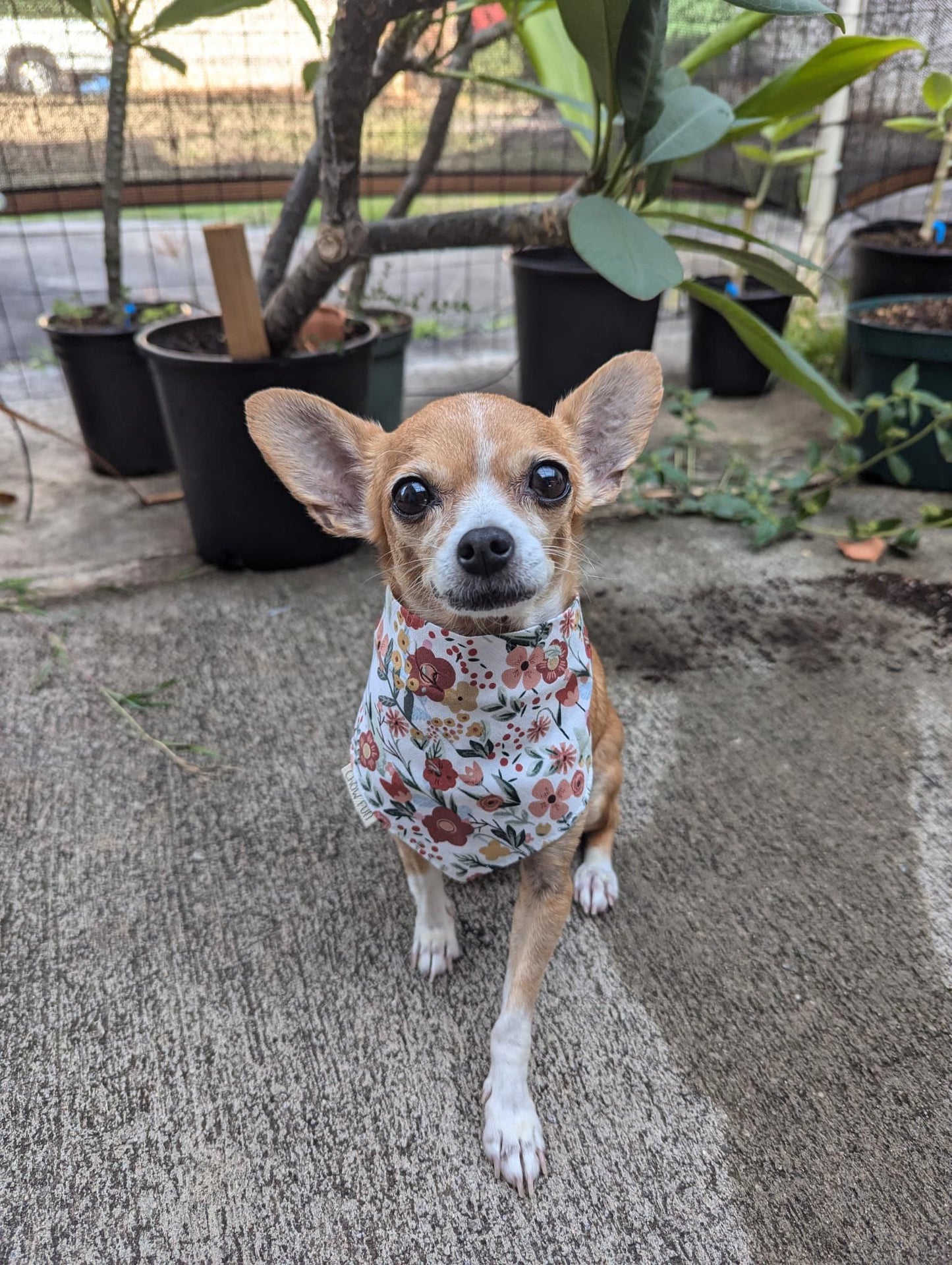 Boho Bouquets Bandana