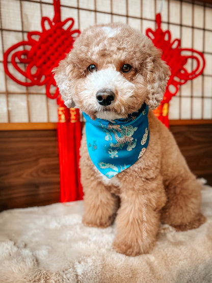 Teal Dragon Bandana