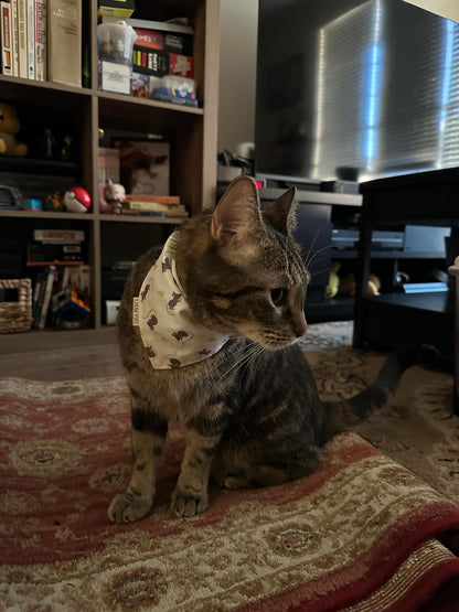 Cheese & Whiskers Cat Bandana (Limited)