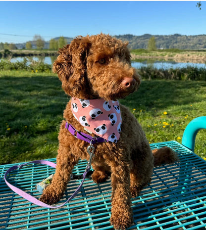 Bamboo Buddy Bandana