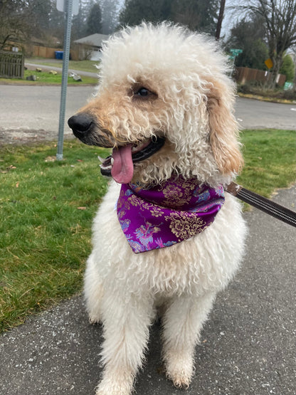 ✨NEW✨ Royal Purple Dragon Bandana