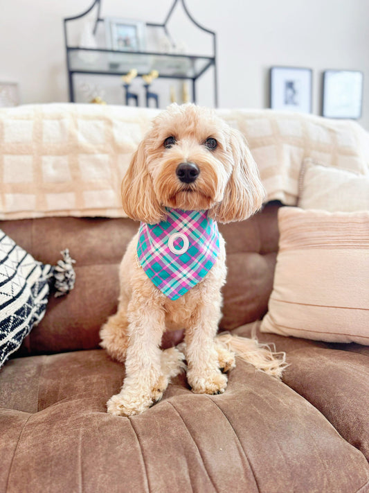 Warm & Fuzzy Valentine (Flannel) Bandana